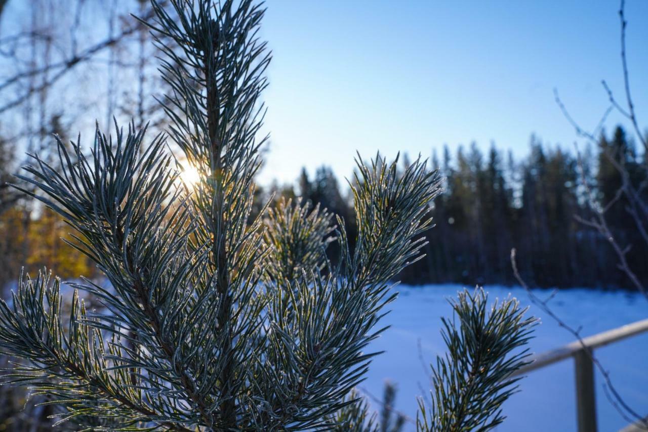 Asarna Skicenter エクステリア 写真