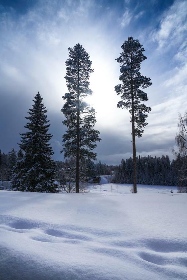Asarna Skicenter エクステリア 写真
